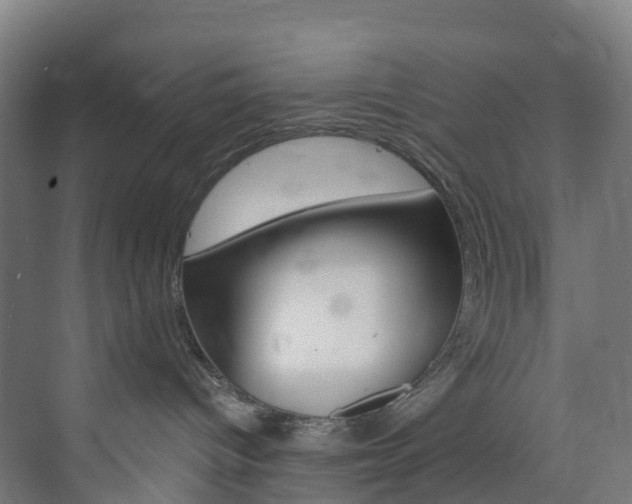 X0000073850096200608171044