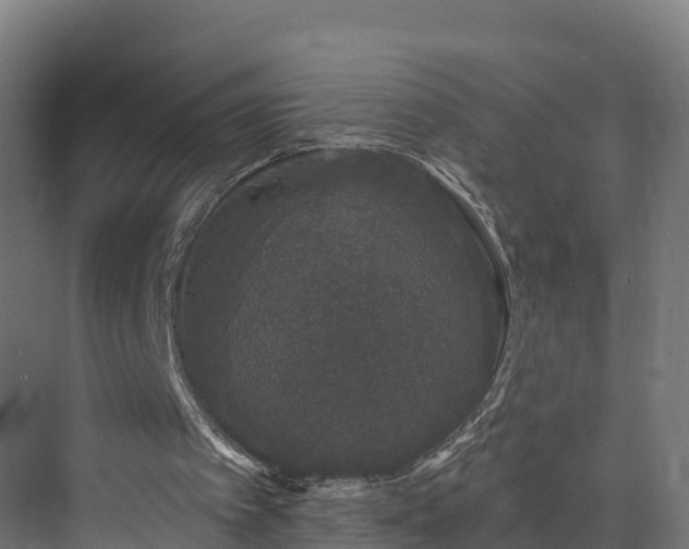 X0000073850097200608171043