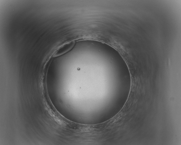 X0000073850098200608171043