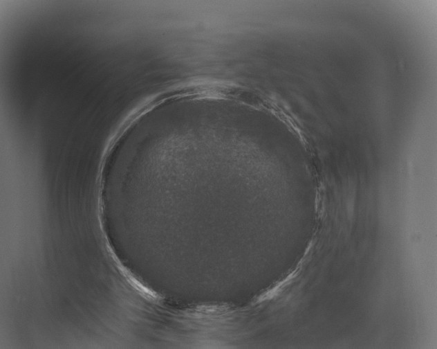 X0000073850101200608171043