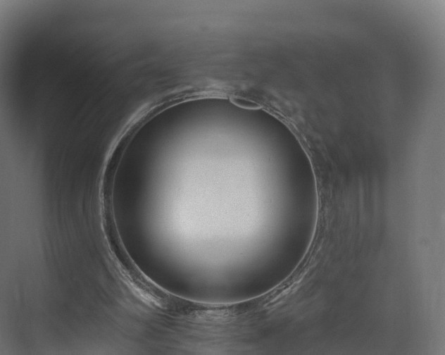 X0000073850102200608171043