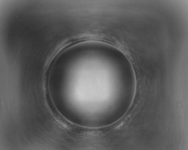 X0000073850103200608171043