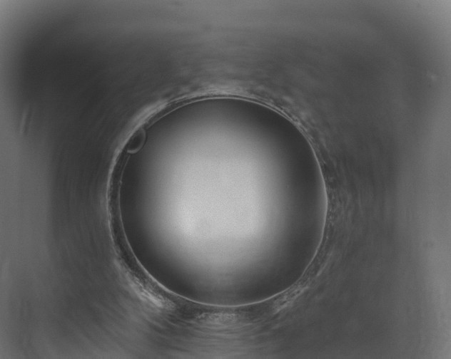 X0000073850104200608171043