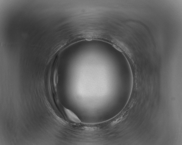 X0000073850105200608171043