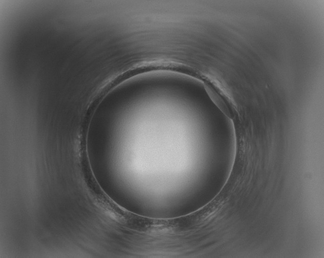 X0000073850111200608171043