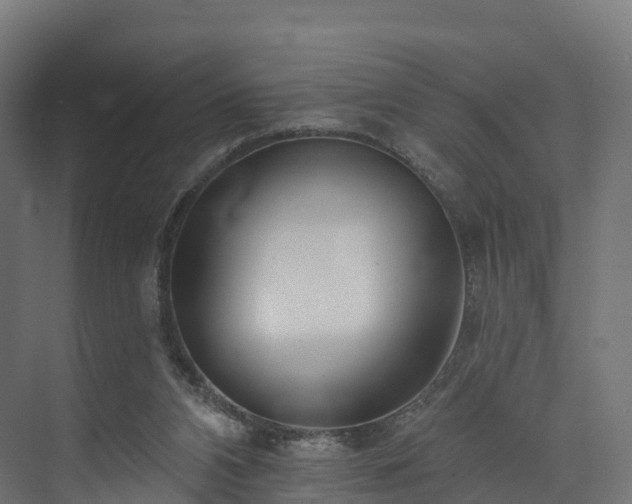 X0000073850112200608171043