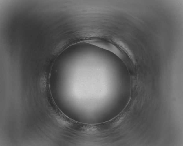 X0000073850113200608171043