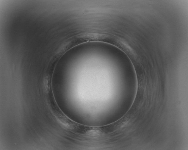 X0000073850119200608171043