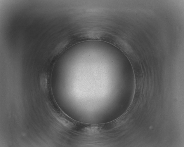 X0000073850120200608171043