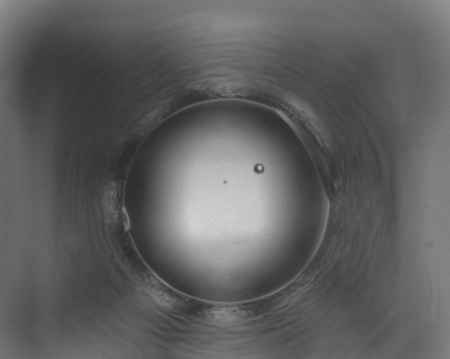 X0000073850121200608171043