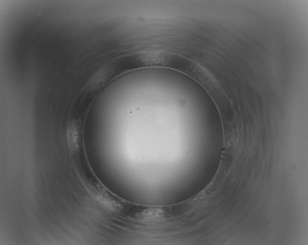 X0000073850124200608171043