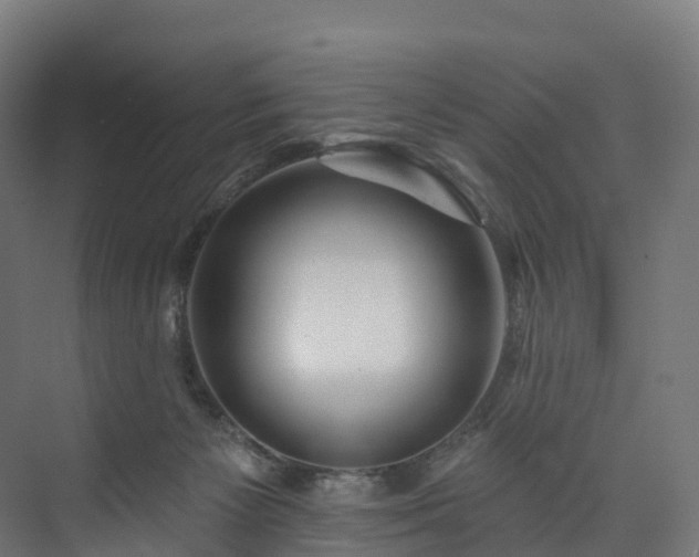 X0000073850125200608171043