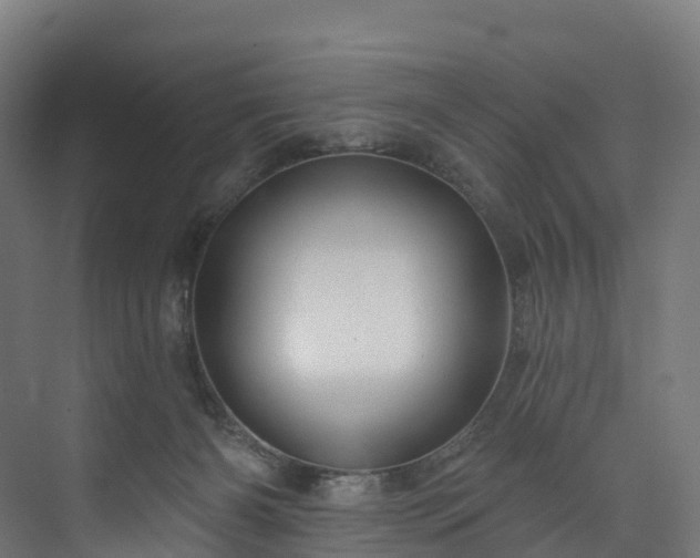 X0000073850126200608171043