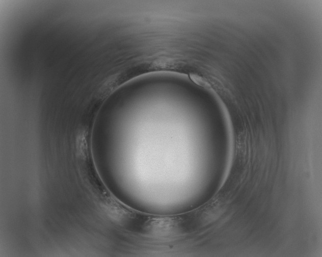 X0000073850127200608171043