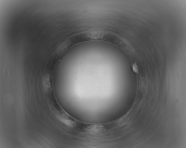 X0000073850128200608171043