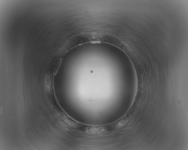 X0000073850129200608171042