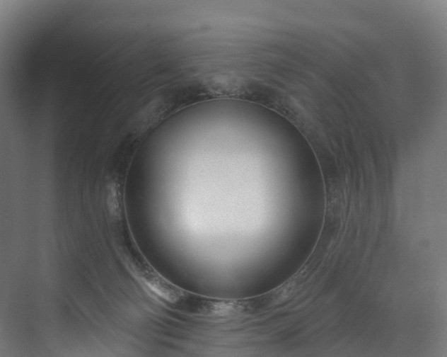 X0000073850130200608171042