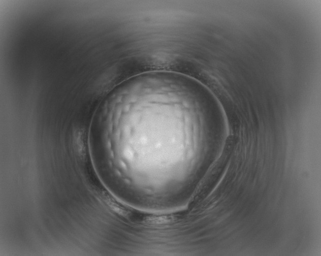 X0000073850131200608171042