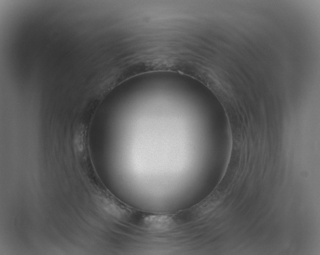 X0000073850133200608171042