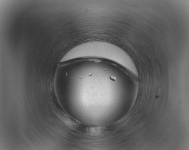 X0000073850134200608171042