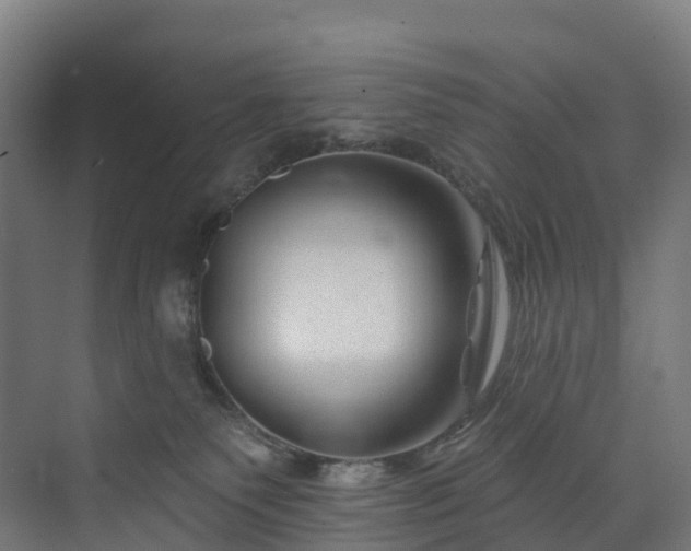 X0000073850135200608171042