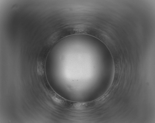 X0000073850136200608171042