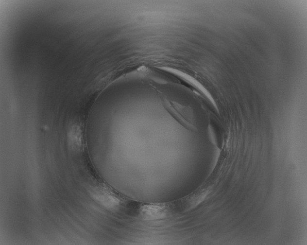 X0000073850139200608171042