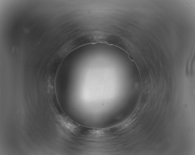 X0000073850140200608171042