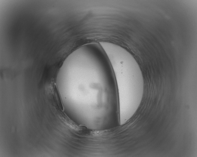 X0000073850141200608171042