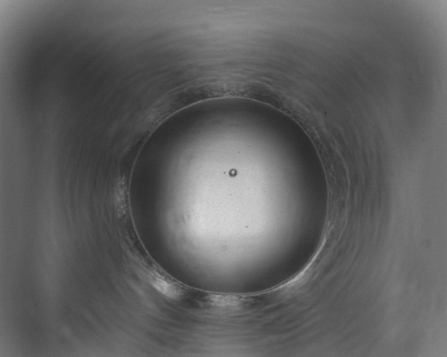 X0000073850144200608171042