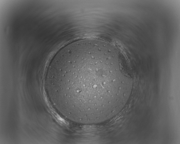 X0000073850145200608171041