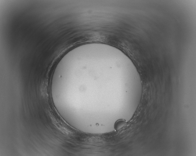 X0000073850146200608171041