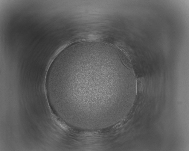 X0000073850147200608171041