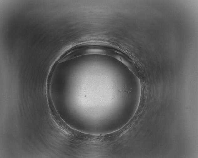 X0000073850148200608171041