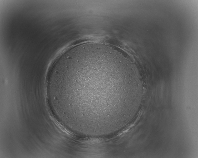 X0000073850149200608171042