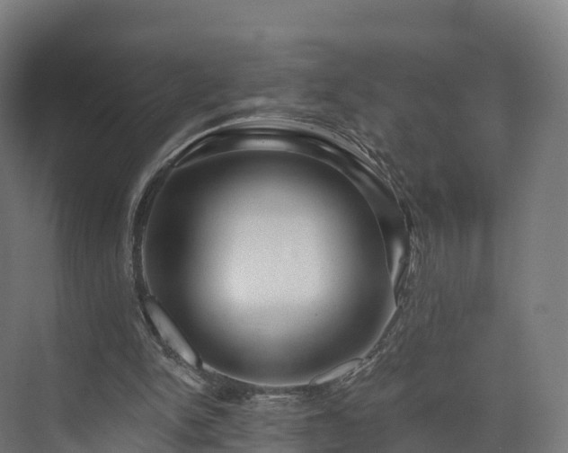 X0000073850150200608171042