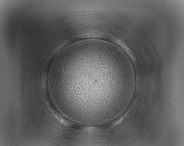 X0000073850153200608171042