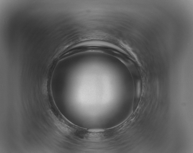 X0000073850154200608171042