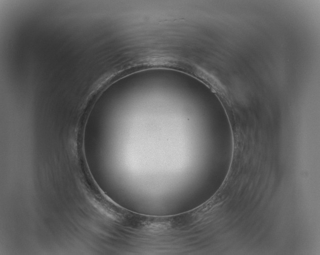 X0000073850155200608171042