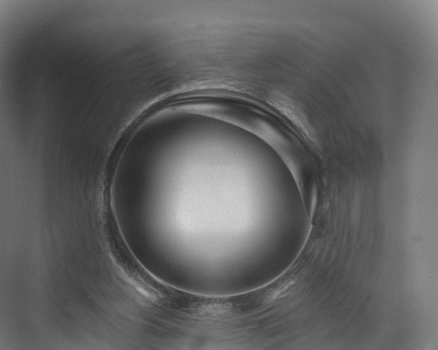 X0000073850156200608171042