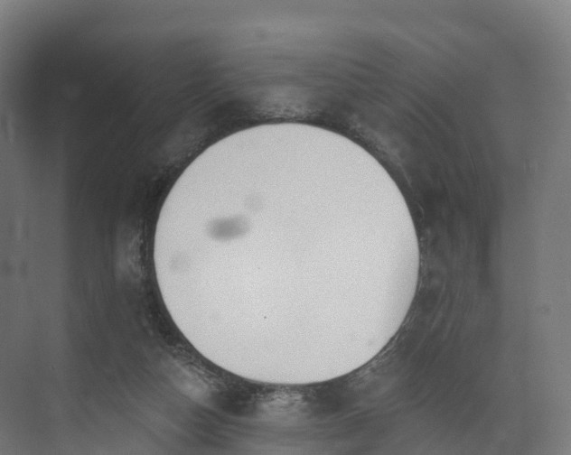 X0000073850162200608171042