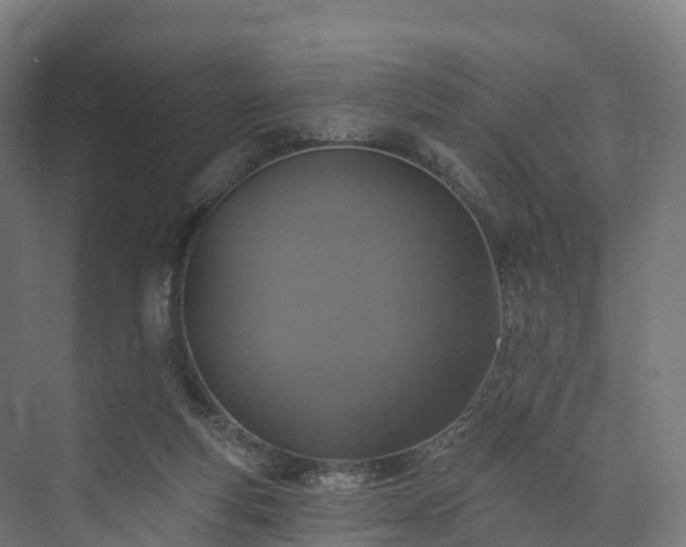 X0000073850163200608171042