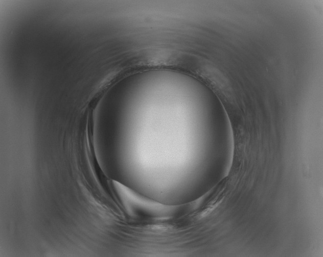 X0000073850164200608171042