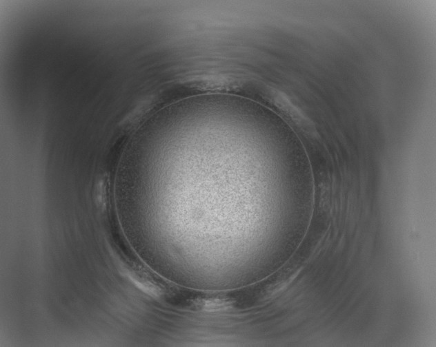 X0000073850165200608171042