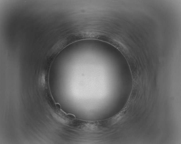 X0000073850166200608171042