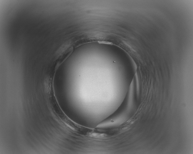 X0000073850168200608171042