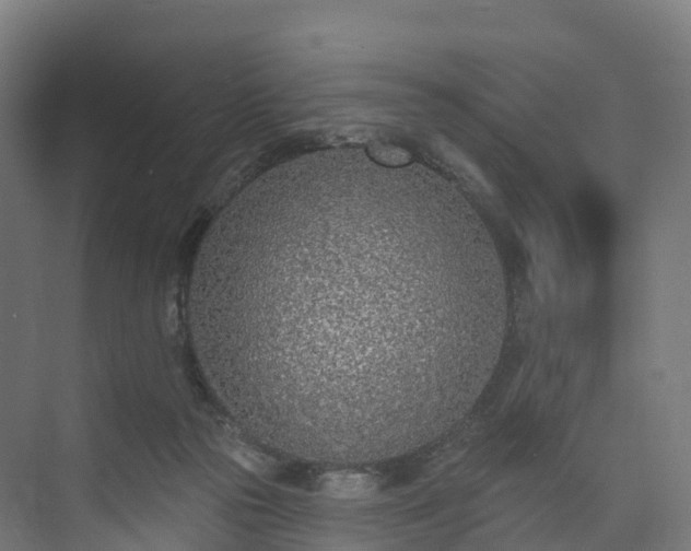 X0000073850169200608171042