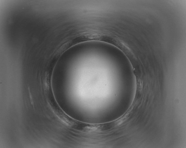 X0000073850170200608171042