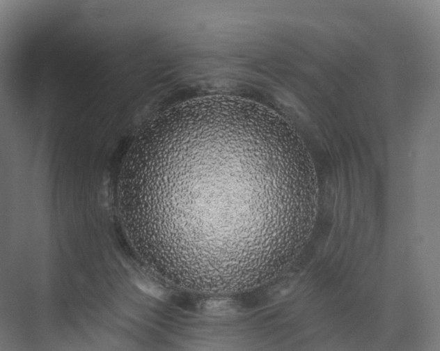 X0000073850173200608171042