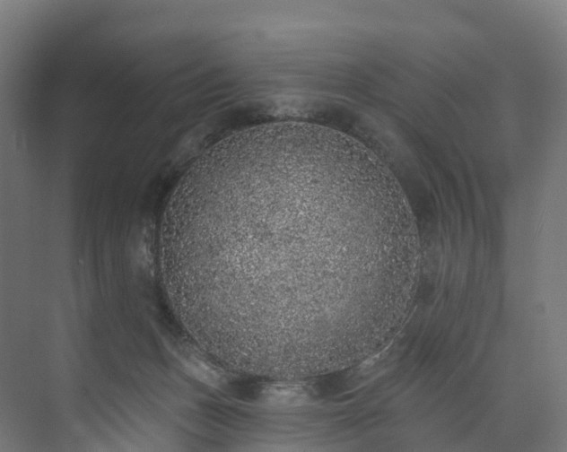 X0000073850175200608171042